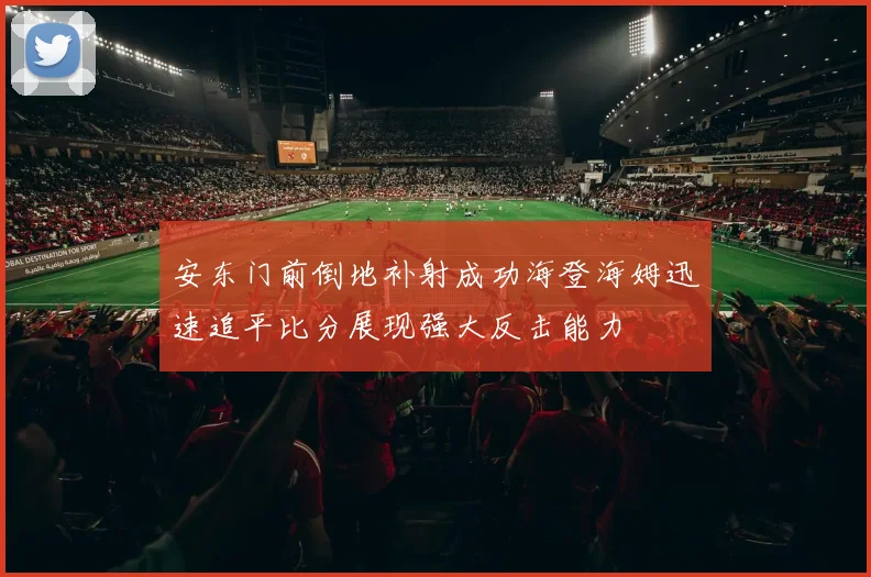 安东门前倒地补射成功海登海姆迅速追平比分展现强大反击能力