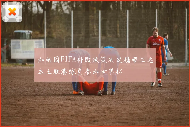 加纳因FIFA补贴政策决定携带三名本土联赛球员参加世界杯