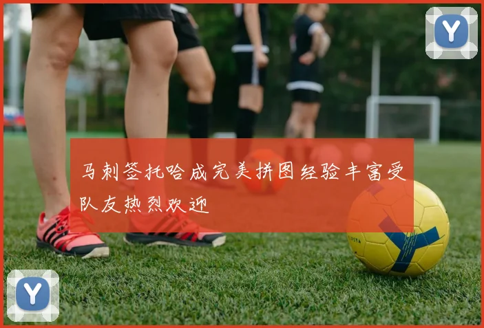 马刺签托哈成完美拼图经验丰富受队友热烈欢迎